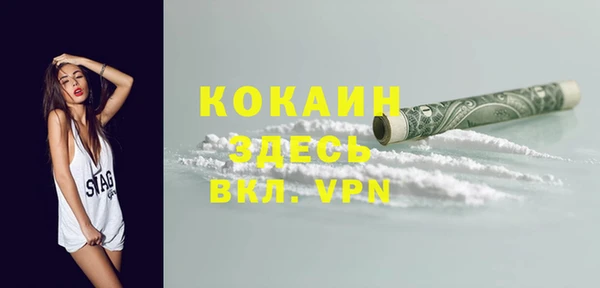 кокс Алексин