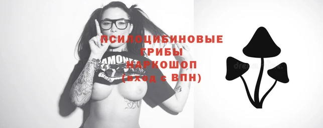 кокс Алексин
