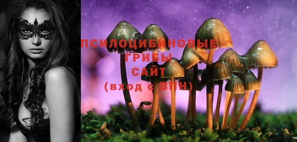 кокс Алексин
