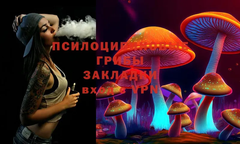 Галлюциногенные грибы MAGIC MUSHROOMS  Армянск 