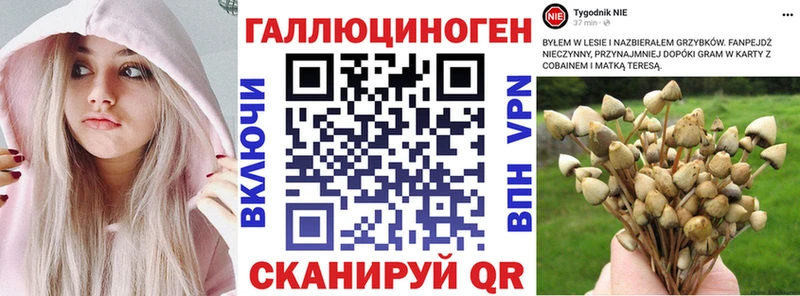 Галлюциногенные грибы GOLDEN TEACHER Армянск